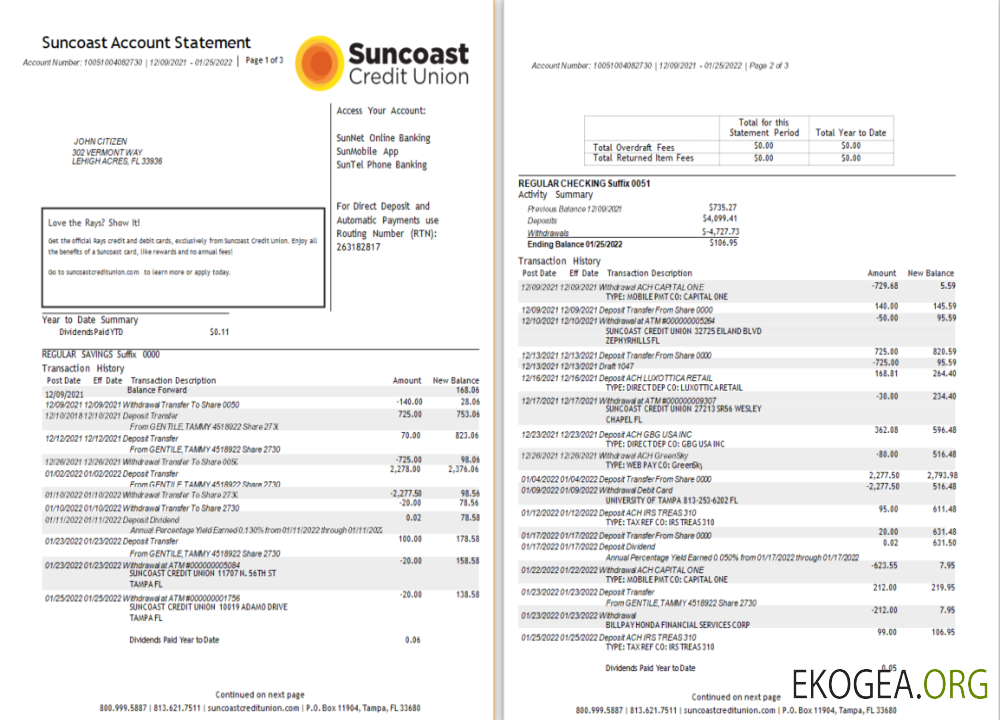 Modèle Word et PDF de relevé bancaire USA Suncoast 1 2